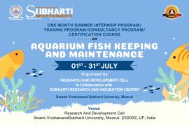 AQUARIUM FISH KEEPING AND MAINTENANCE