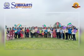 Kite Flying Competition