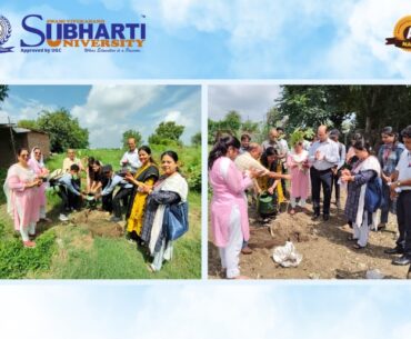 Plantation Activity by Department of Languages