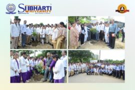 Plantation Drive by University Environment Committee