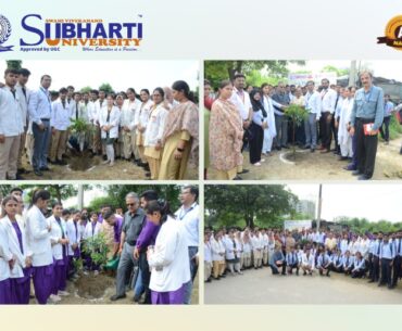 Plantation Drive by University Environment Committee