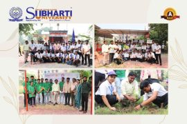 Tree Plantation Drive
