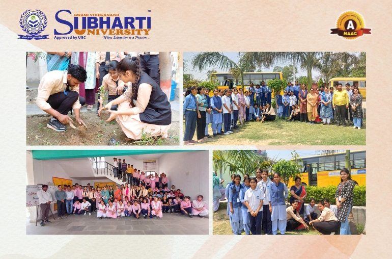 Fieldwork Completion for Community Engagement and Social Responsibility