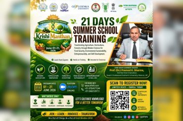 21 Days Summer School Training Program
